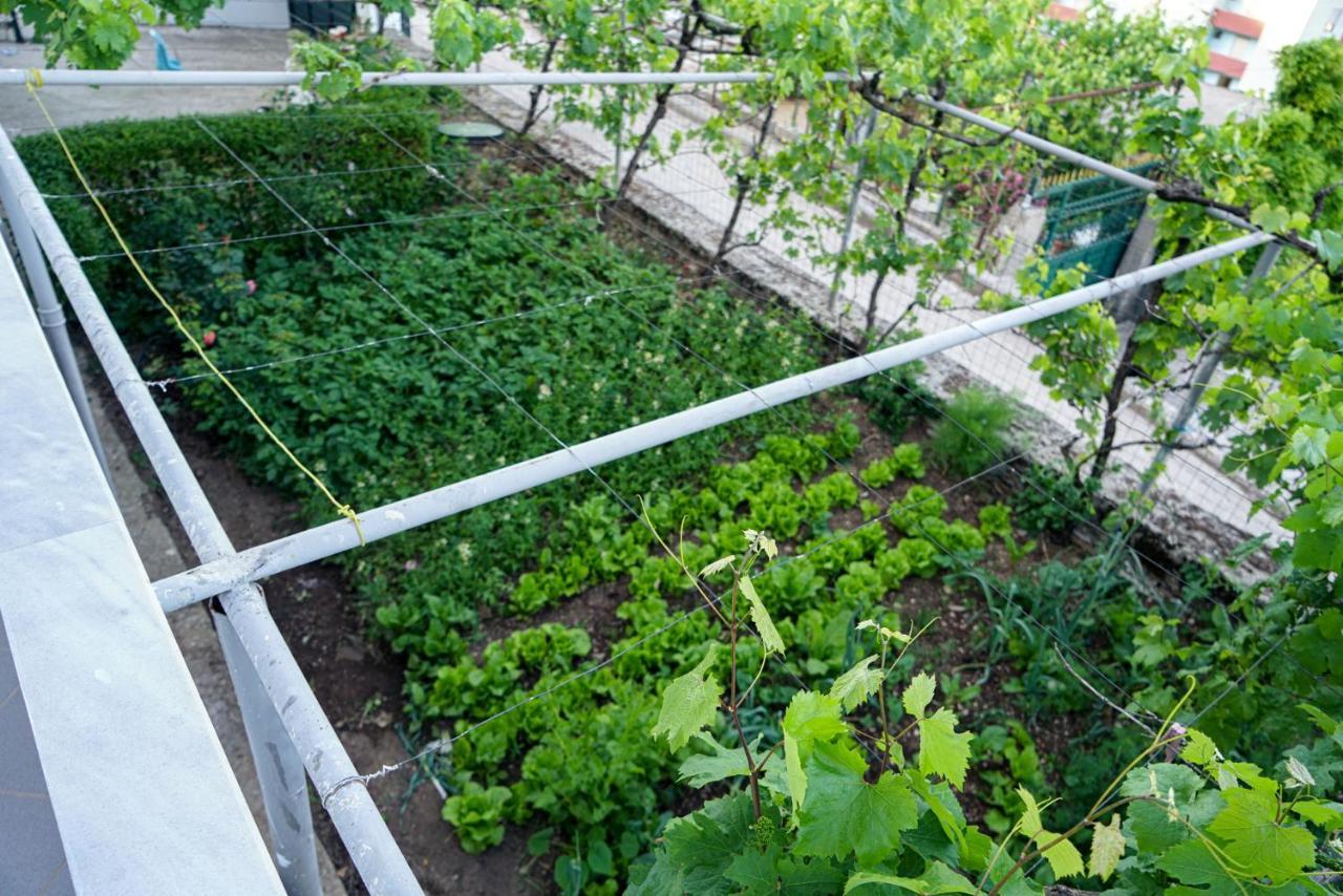 Patio Pensjonat *